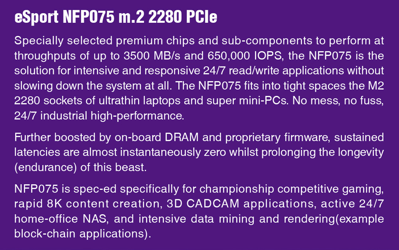 Neo Forza Solid State Disk
